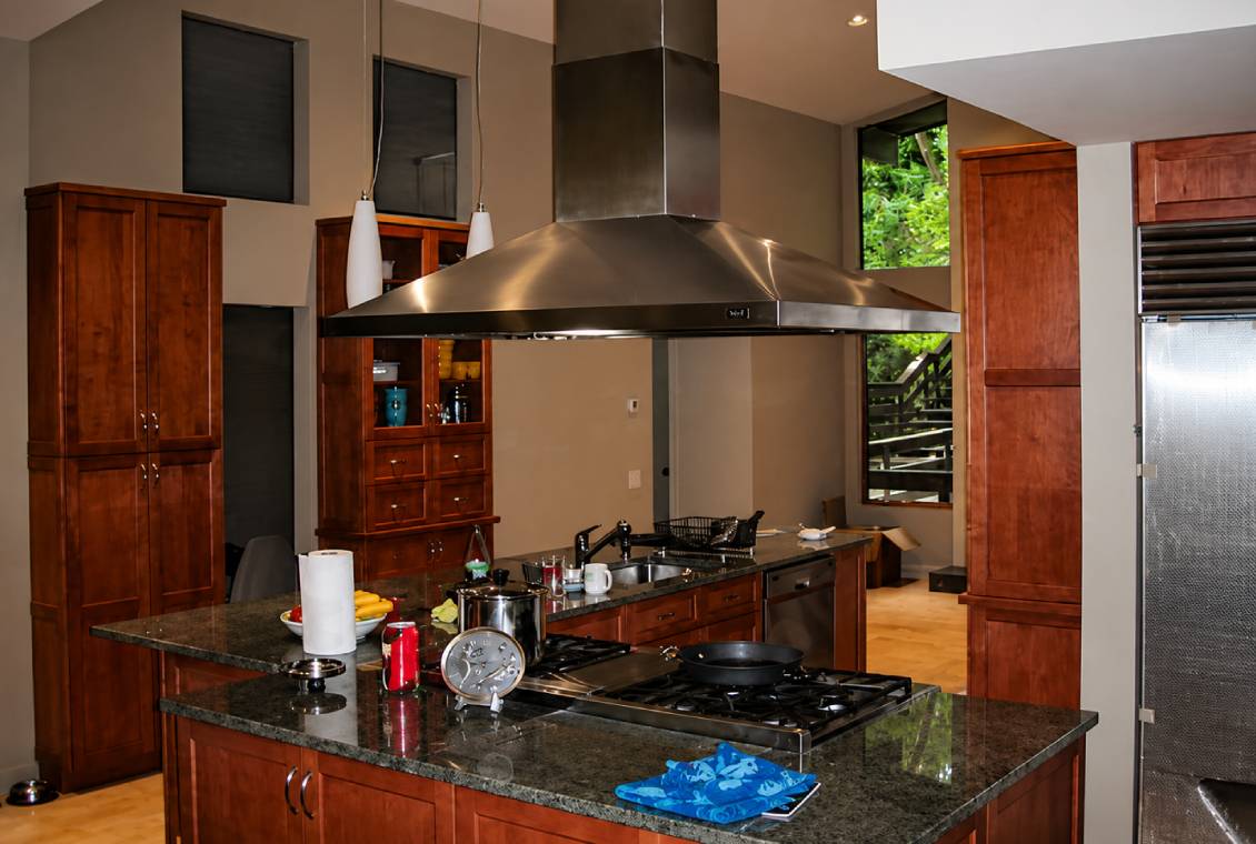 Contemporary kitchen featuring island and hood